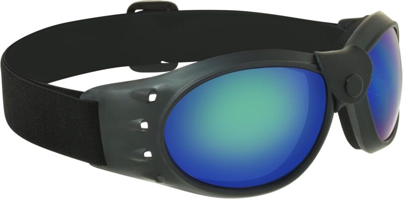 Motorcycle Safety Goggles Foam Padded Men Women Large Coverage with Large Microfiber Case